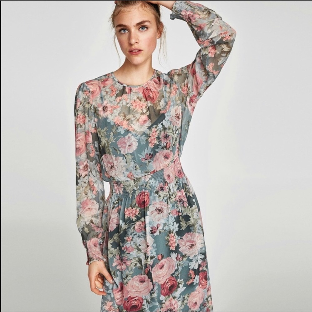 Zara Flora print chiffon dress
